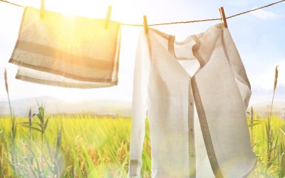 Summer Sessions: Tackling Your To-Do List