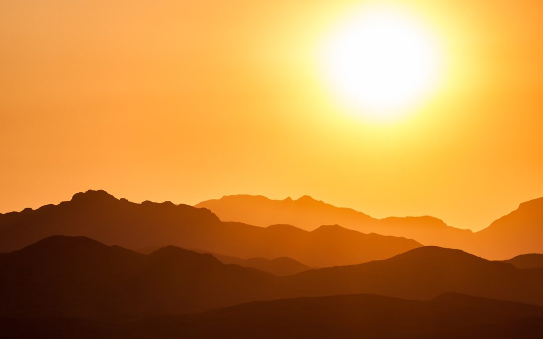 Making The Most of Natural Sunlight.