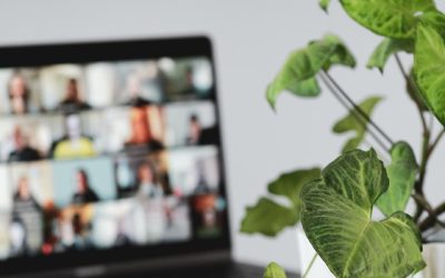 Finding The Right Personal Assistant.
