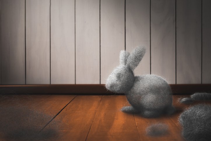 Dust Bunnies Beware. Cleaning Services For Your Home or Personal Office.