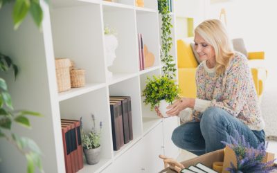 How to Incorporate a Professional Organizer into Your Life